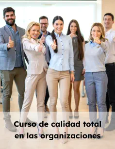 Curso de calidad total en las organizaciones