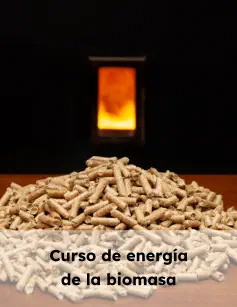 Curso de energía de la biomasa