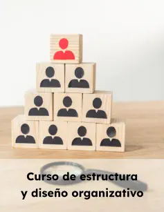 Curso de estructura y diseño organizativo