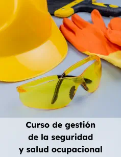 Curso de gestión de la seguridad y salud ocupacional