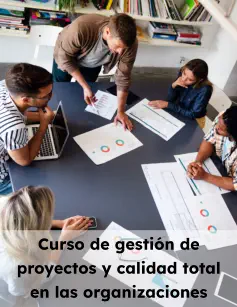 Curso de gestión de proyectos y calidad total en las organizaciones