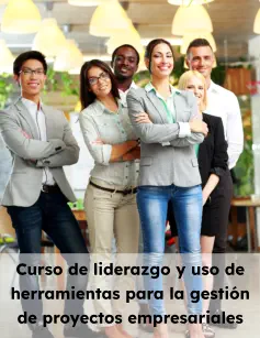 Curso de liderazgo y uso de herramientas para la gestión de proyectos empresariales