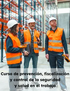 Curso de prevención, fiscalización y control de la seguridad y salud en el trabajo