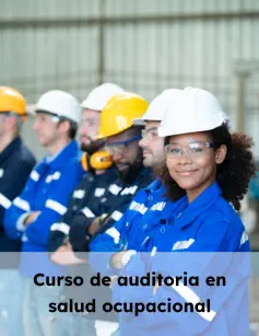 Curso de auditoría en salud ocupacional